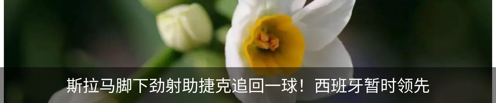 资讯动态